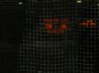 Hier klicken f�r Vollbild